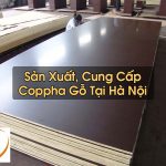 Coppha Gỗ Tại Hà Nội