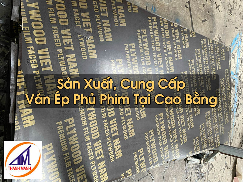 Ván Ép Phủ Phim Tại Cao Bằng