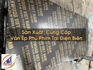 Ván Ép Phủ Phim Tại Điện Biên