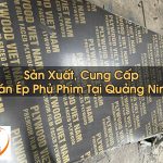 Ván Ép Phủ Phim Tại Quảng Ninh