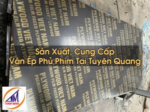 Ván Ép Phủ Phim Tại Tuyên Quang